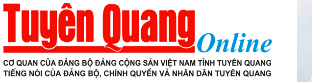 Liên kết website
